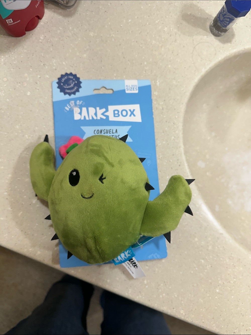 Bark Green Winking Cactus Plush Dog Toy - Bark Box